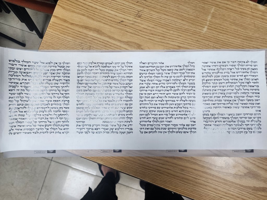 תמונה 4