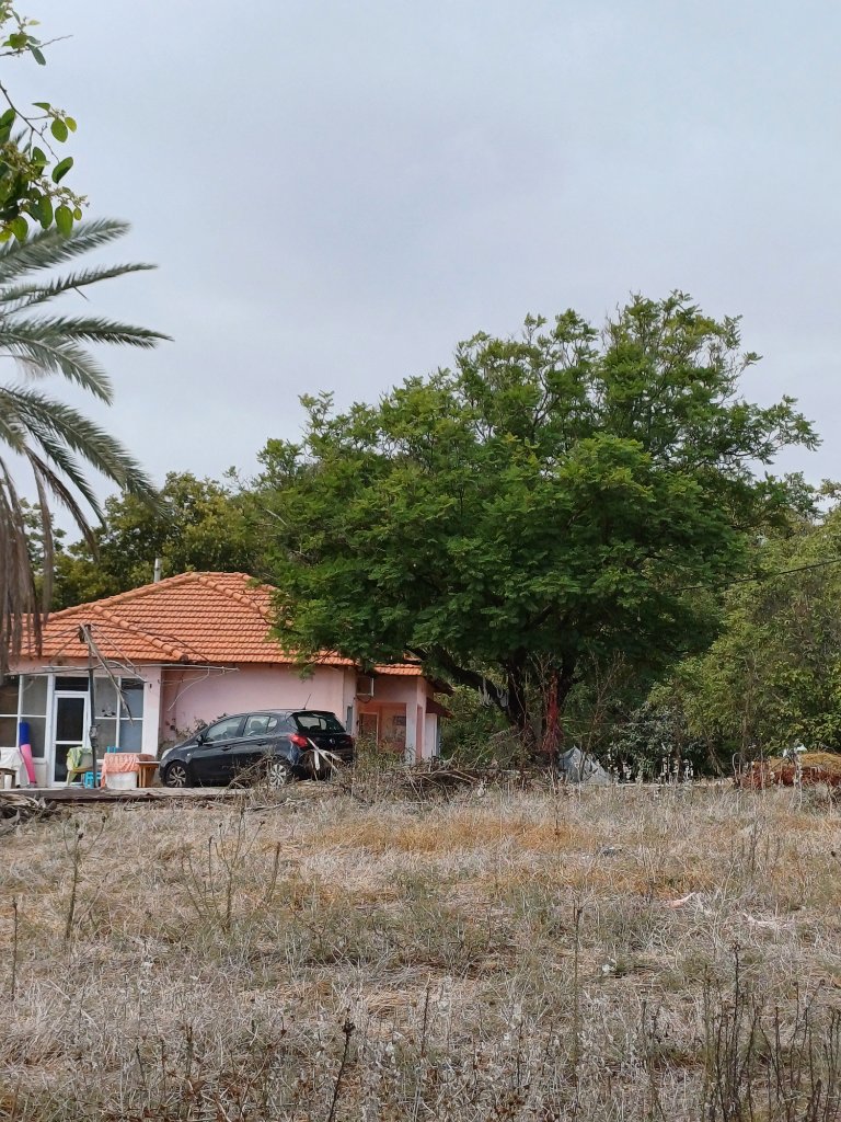 תמונה 3