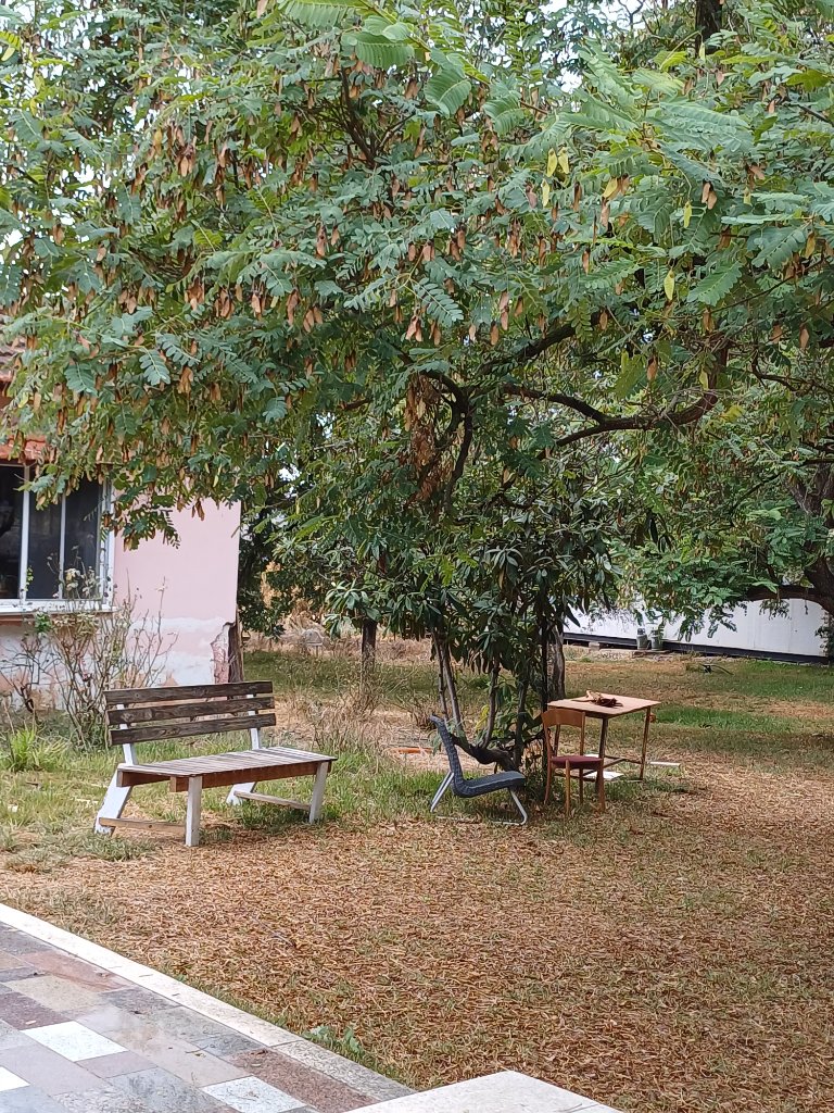 למכירה בישראל נחלה/משק גדול במיוחד, סמוך ללטרון, לצומת נחשון