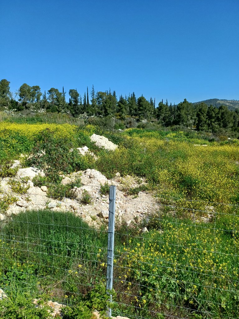 תמונה 2